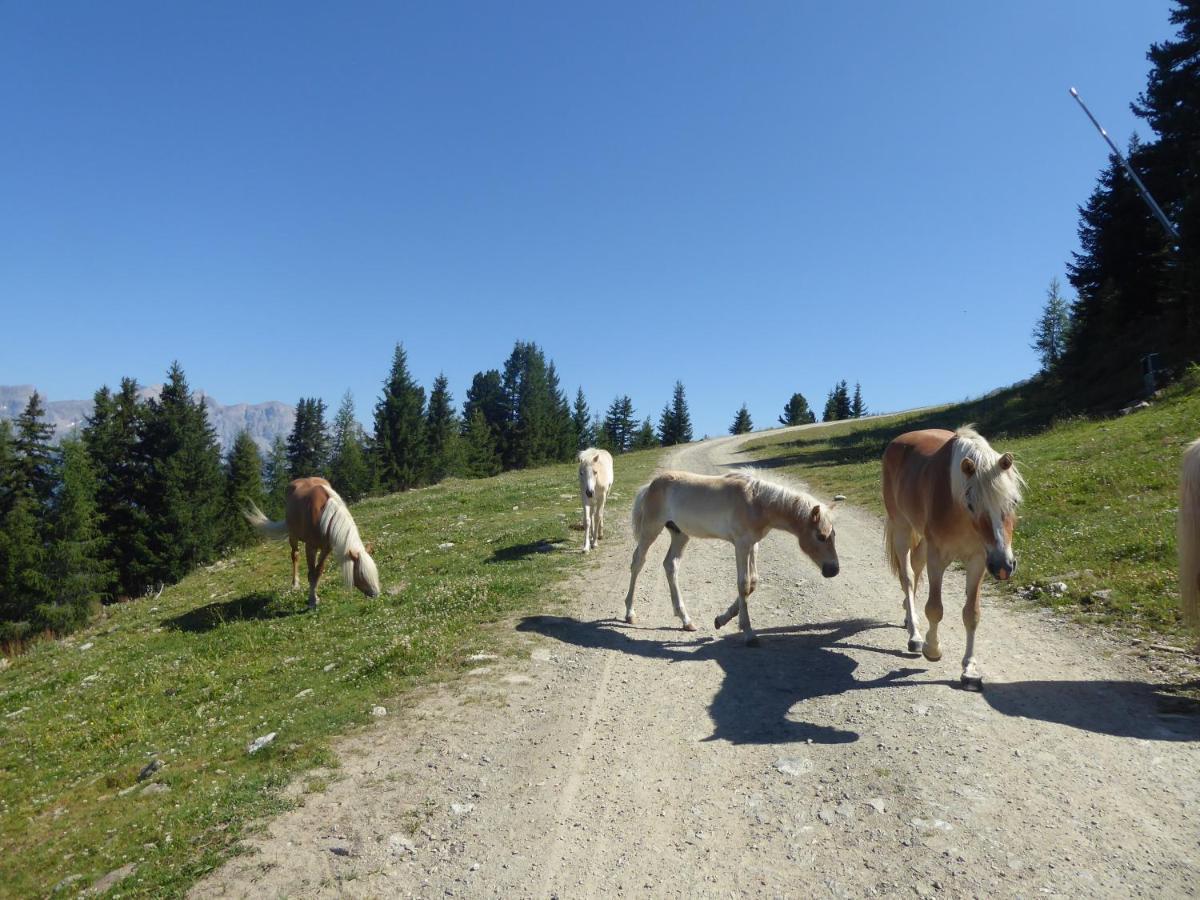 Bergflair Apartman See Kültér fotó